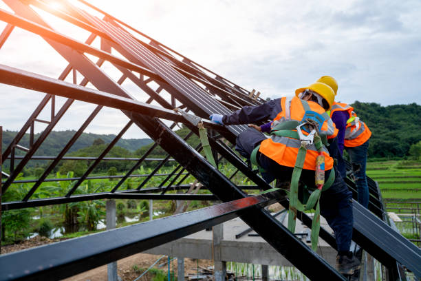 Best Local Roofing Companies  in Northville, MI
