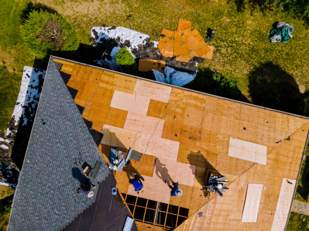 Best Roof Gutter Cleaning  in Northville, MI