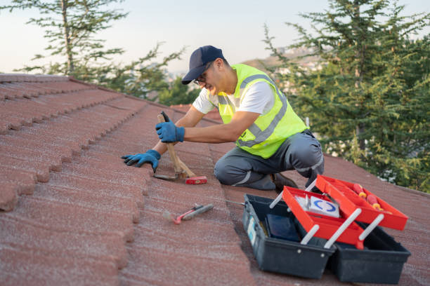 Best Roof Gutter Cleaning  in Northville, MI