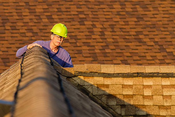 Best Roof Leak Repair  in Northville, MI