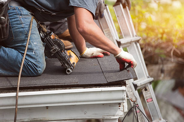Roof Gutter Cleaning in Northville, MI