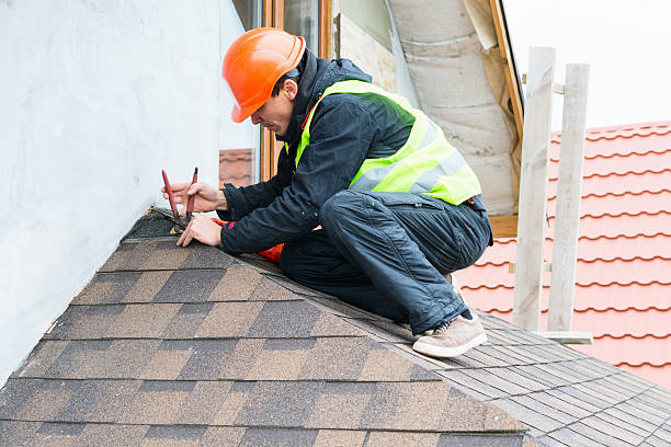 Best Metal Roofing Contractor  in Northville, MI