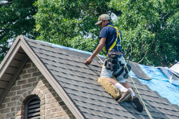 Best Storm Damage Roof Repair  in Northville, MI